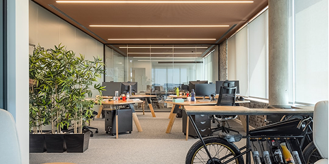 Equipe administrativa organizando documentos